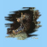 Aquarium Fish Collection by FishTs.com Tees