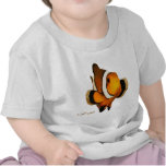 Aquarium Fish Collection by FishTs.com