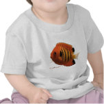 Aquarium Fish Collection by FishTs.com