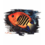 Aquarium Fish Collection by FishTs.com