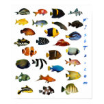 Aquarium Fish Poster