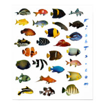 Aquarium Fish Poster posters