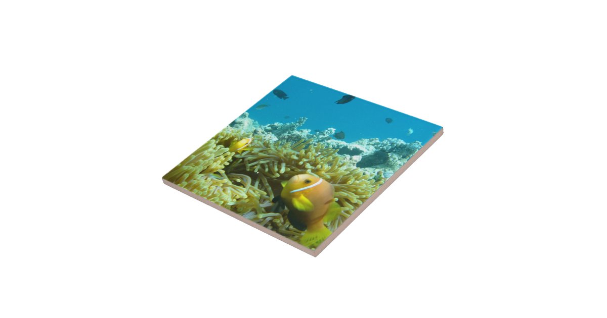 Aquarium Fish Tile Zazzle