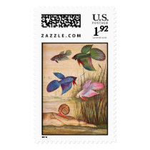 aquarium fish-Various Colored Bettas stamp postage