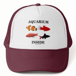 Aquarium Inside hat