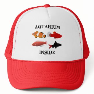 Aquarium Inside hat