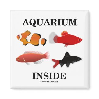 Aquarium Inside magnet