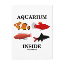 Aquarium Inside Postcard