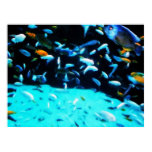Aquarium Living Posters