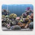 Aquarium mousepads