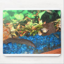 aquarium mousepads