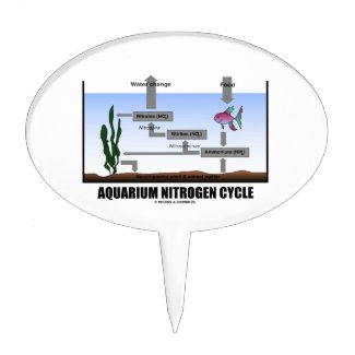 Aquarium Nitrogen Cycle (Ecology) Cake Pick