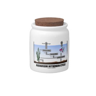 Aquarium Nitrogen Cycle (Ecology) Candy Jar