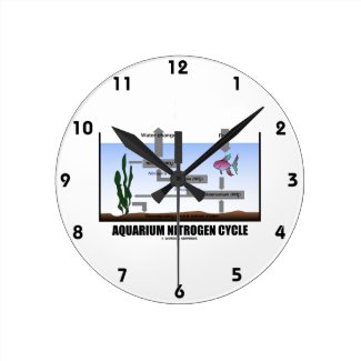 Aquarium Nitrogen Cycle (Ecology) Clocks