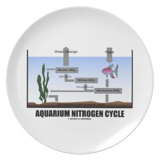 Aquarium Nitrogen Cycle (Ecology) Plates
