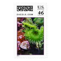 Aquarium postage