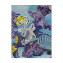 Aquarium Postcard