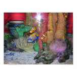 Aquarium
