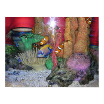 Aquarium posters by DaniD162004 Aquarium posters