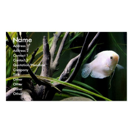 Aquarium Profile Cards Business Cards (front side)