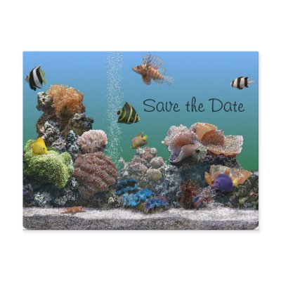 aquarium Save the Date Postcards by ginnygrace84