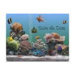 aquarium Save the Date Postcards