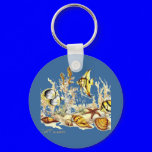 Aquarium Scene by FishTs.com