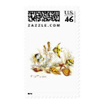 Aquarium Scene by FishTs.com