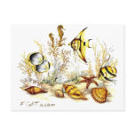 Aquarium Scene by FishTs.com