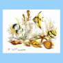 Aquarium Scene by FishTs.com Postcard