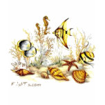 Aquarium Scene by FishTs.com