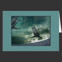 Aquarium Seals Greeting Card cards