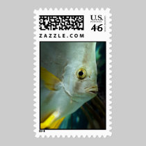 Aquarium stamps