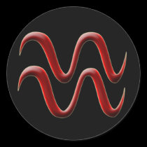 Aquarius #2 Sticker stickers