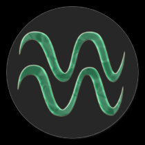 Aquarius #3 Sticker stickers