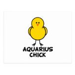 Aquarius Chick Post Card