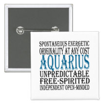Aquarius Gifts- Pin