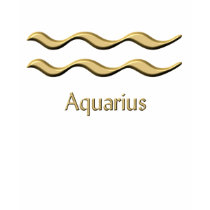 Aquarius gold symbol t-shirt