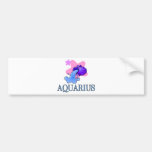 Aquarius Jug Of Water bumper stickers