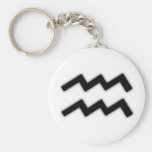 Aquarius Key Chain