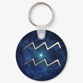 Aquarius keychain