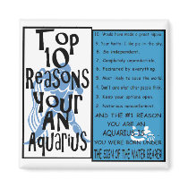 Aquarius Refrigerator Magnet