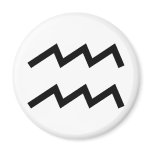 Aquarius Fridge Magnets