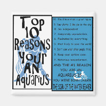 Aquarius Refrigerator Magnet