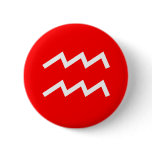 Aquarius Symbol Pin