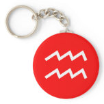Aquarius Symbol Keychains