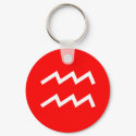 Aquarius Symbol keychains