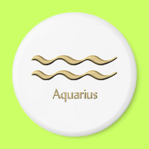 Aquarius symbol magnets