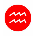 Aquarius Symbol t-shirts