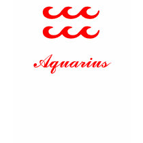 Aquarius T-Shirt